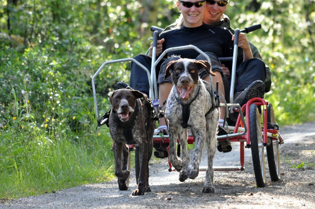 Birkelund Camping ไยโล ภายนอก รูปภาพ