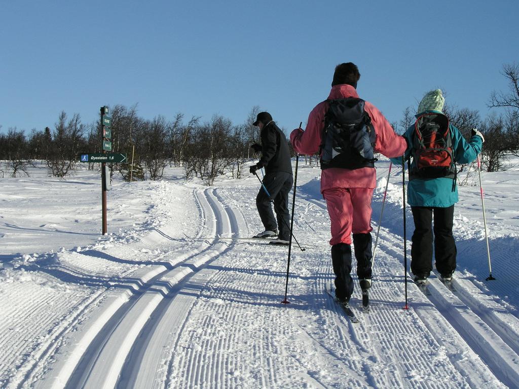 Birkelund Camping ไยโล ภายนอก รูปภาพ